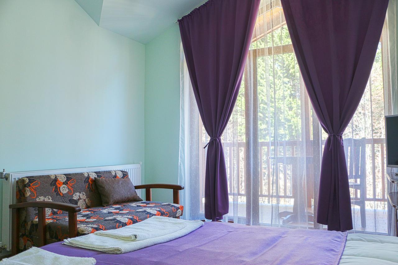 Guesthouse Aida Breznitsa ภายนอก รูปภาพ