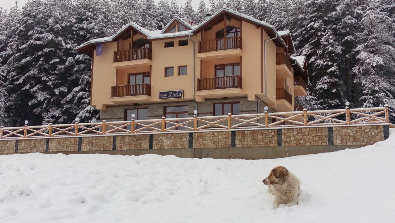 Guesthouse Aida Breznitsa ภายนอก รูปภาพ